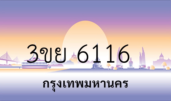 3ขย 6116